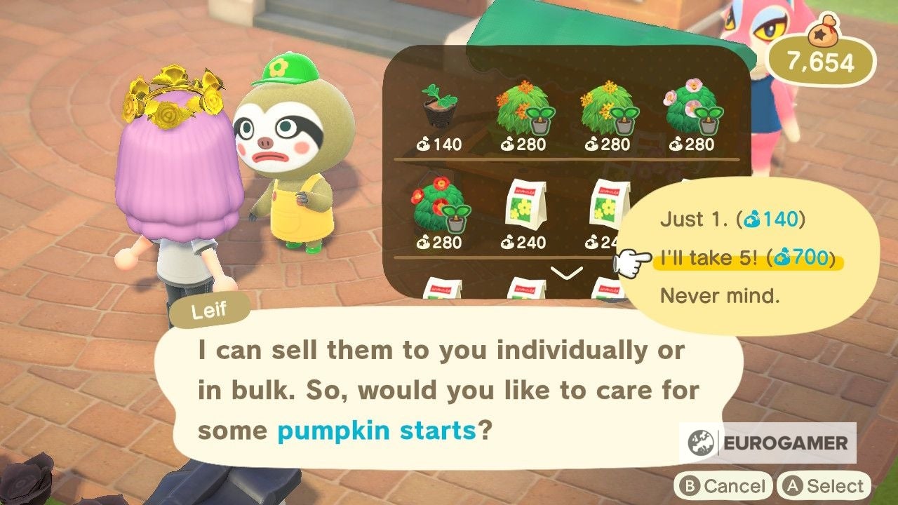 Animal Crossing Pumpkins How to grow pumpkins, pumpkin colours and how